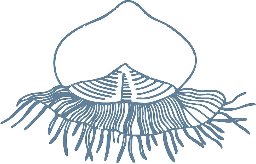 VELA LAB - Logo_.jpg