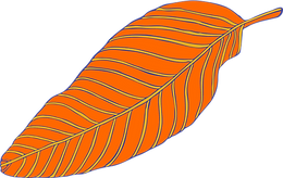 Leaf