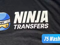 Ninja Transfers Promo Codes (July 2025) 30% Off Discount Code