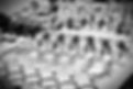 484353420_579768338445140_5644014696483327246_n_edited_edited.jpg