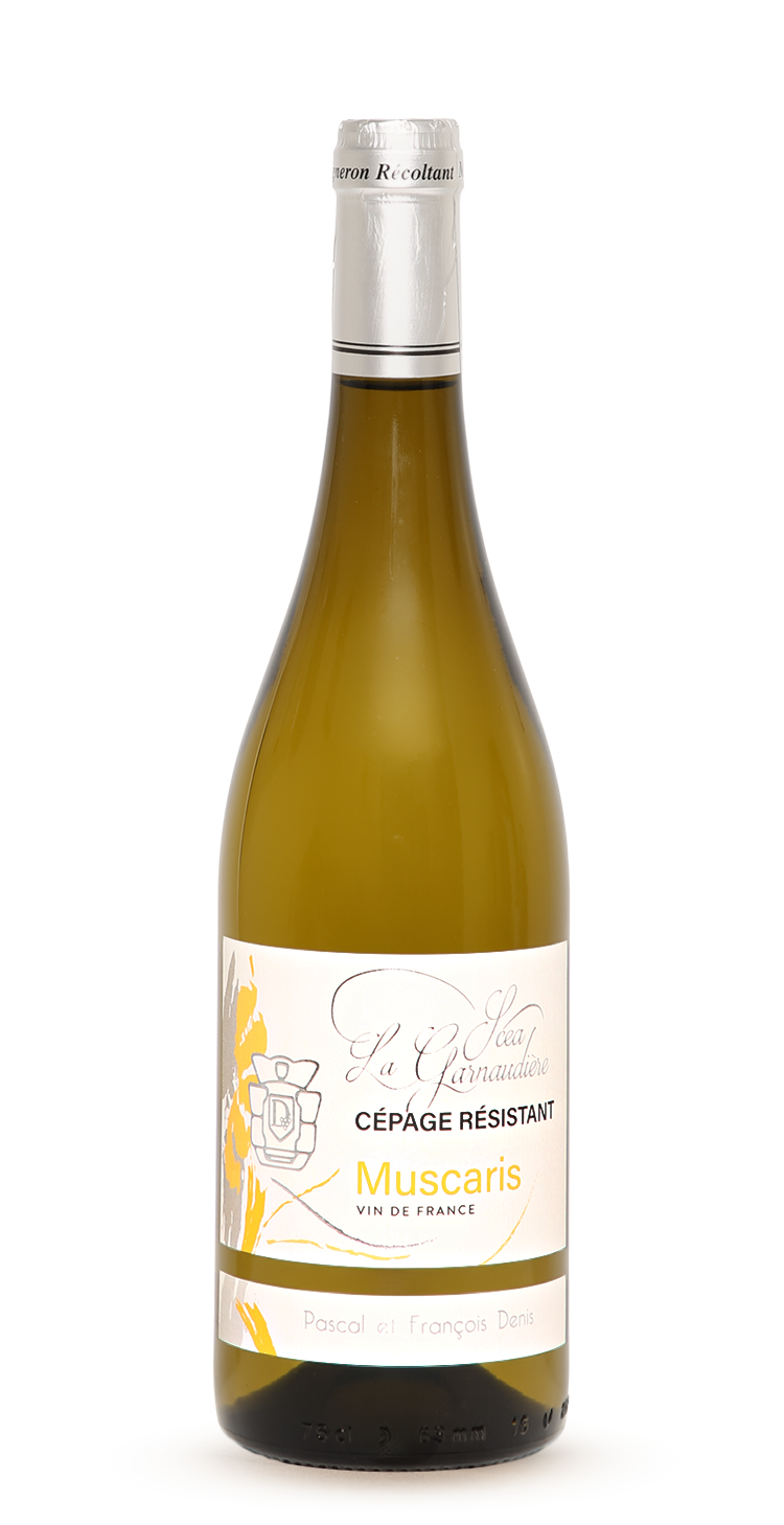 Bouteille de Muscaris, vin blanc moelleux (cépage résistant) du Domaine de La Garnaudière