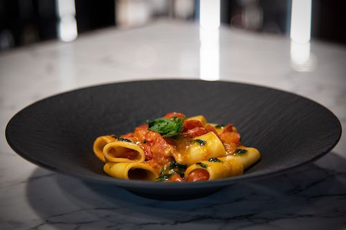 Pâtes à la sauce tomate dans une assiette noire, accord mets et vins pour le Merlot rosé du Domaine de La Garnaudière