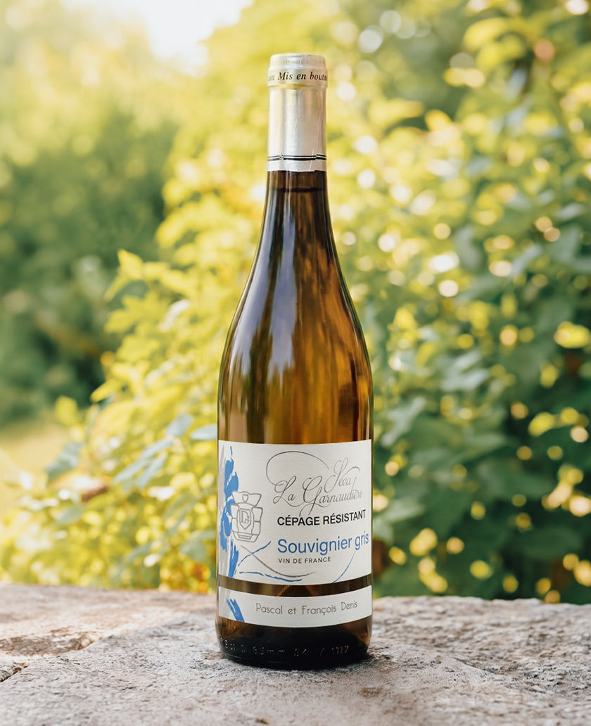 Bouteille de Souvignier gris, vin blanc sec (cépage résistant) du Domaine de La Garnaudière