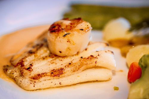 Saint-jacques snackées sur un filet de poisson blanc, accord mets et vins pour le Chardonnay du Domaine de La Garnaudière