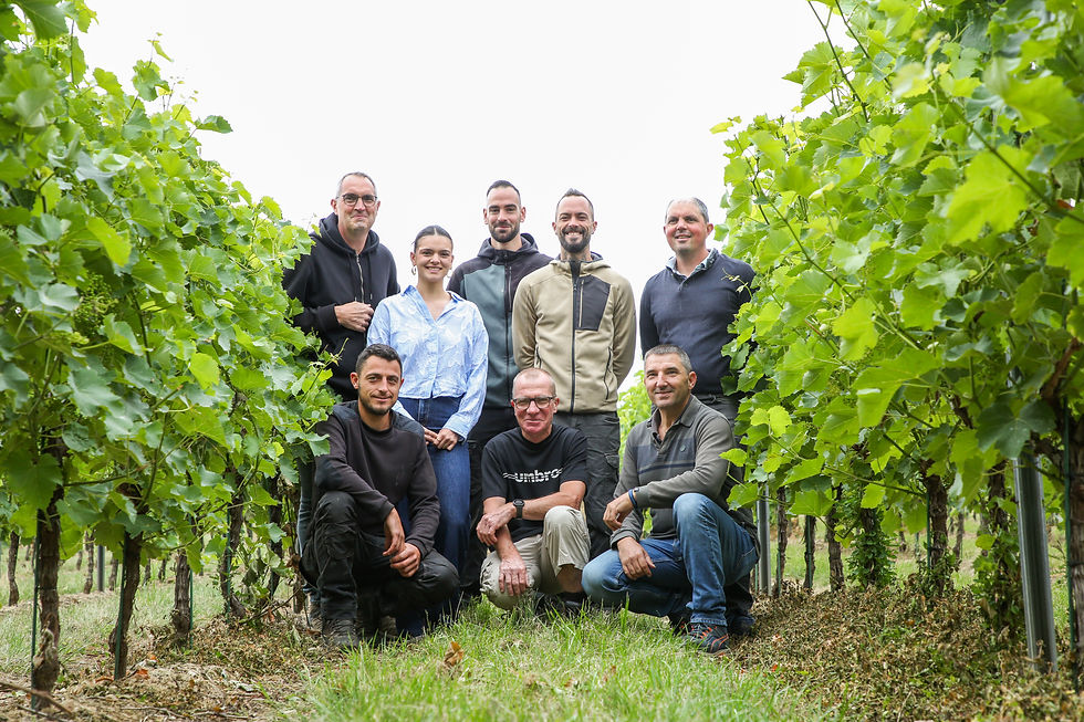L'équipe du Domaine viticole La Garnaudière réunie au milieu des vignes