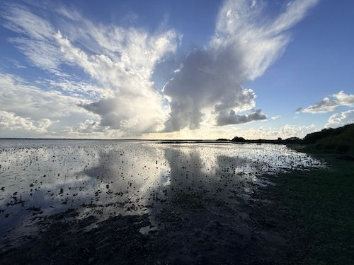 Le lac de Grand Lieu à Saint-Philbert-de-Grand-Lieu : reflets du ciel nuageux sur l'eau calme