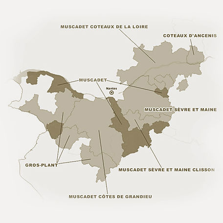 Carte géographique de l'appellation Muscadet