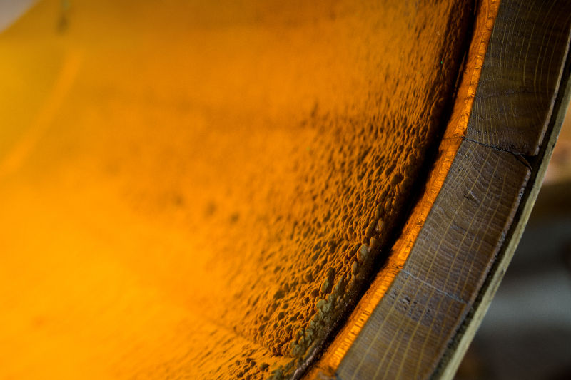 Muscadet aged on its lees in a barrel.