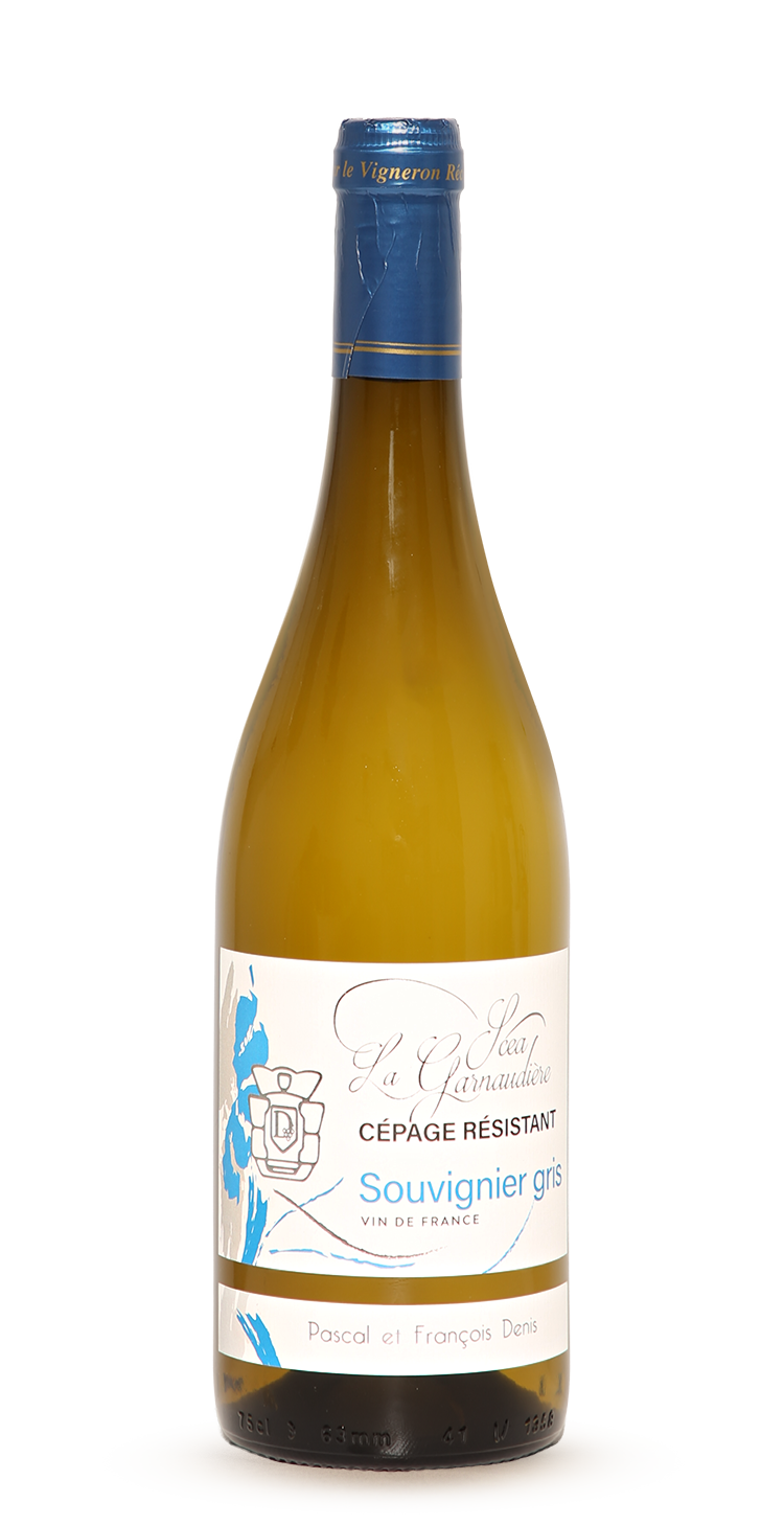 Bouteille de Souvignier gris, vin blanc sec (cépage résistant) du Domaine de La Garnaudière