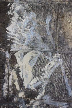 A01-