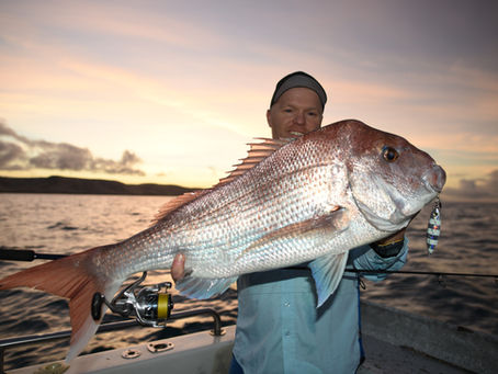 Snapper Fishing Ban