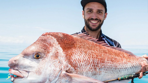 New snapper fishing management arrangements for the South East