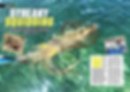 Thumbnail: Fishing SA Magazine Current Issue - June/July 2026