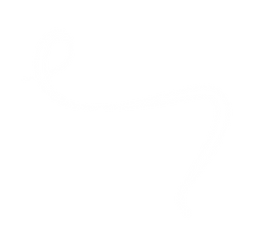 Logo_Flavia Willis