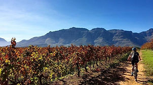 เทียวCape Townด้วยตนเองและเมือง Franschhoek, Stellenbosch-Lucky Lion Tours