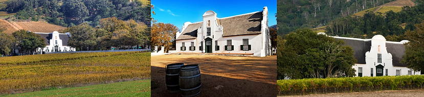 Groot Constantia Lucky Lion Tours.png