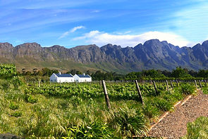 เทียว Cape Town South Africa ด้วยตนเองอย่างประหยัด| Lucky Lion Tours