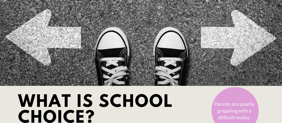 What is school Choice?