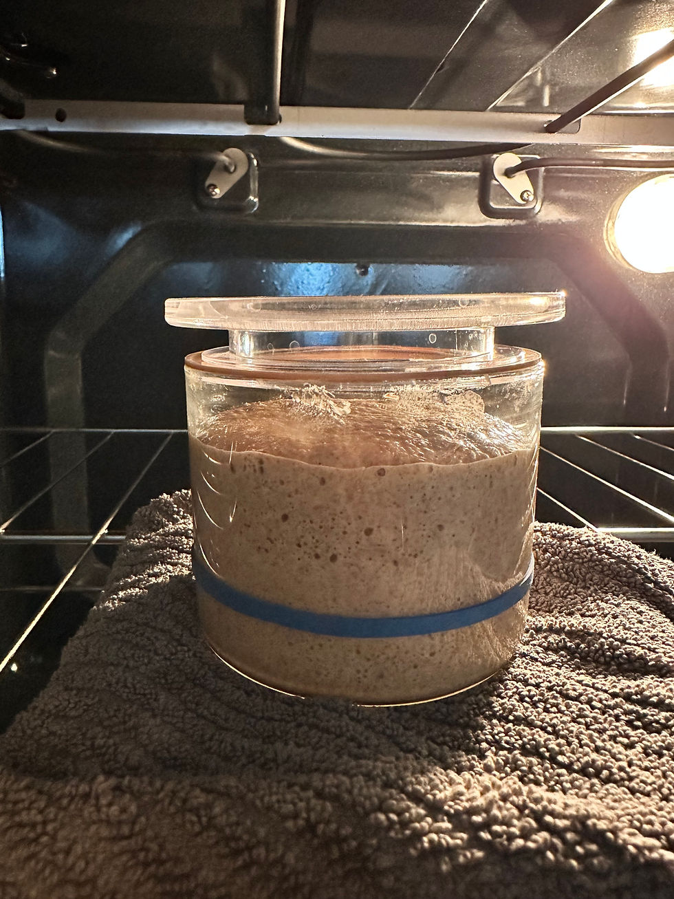 How To Make A Strong and Healthy Sourdough Starterš