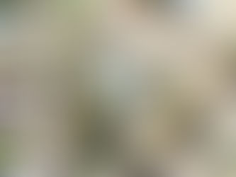 Veterans' Retreat recognized by State Government