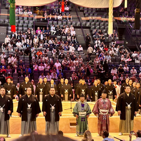 sumo tour