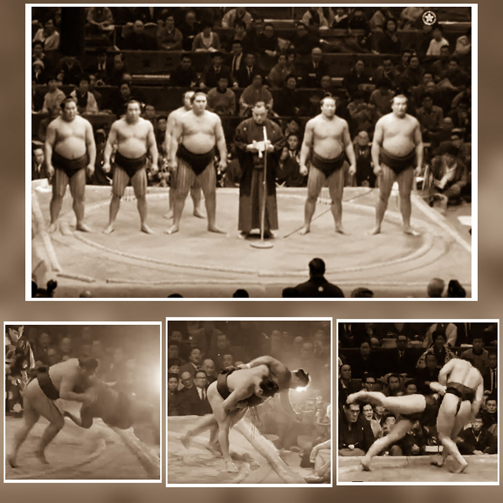 sumo archives 1965-3