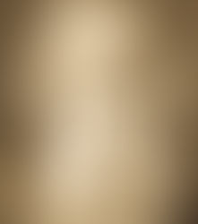 Le quiz de l’Association, mardi 29 octobre