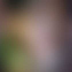 Haru basho : Kirishima se blesse à l’entraînement