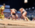 6. Fujiryoga Wakanosho