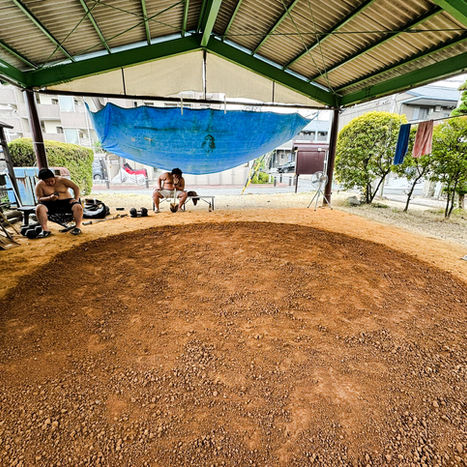 dohyo in Nagoya