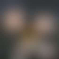 Hoshoryu x Onosato 2025-6-22