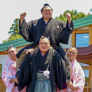Onosato yokozuna promotion 2025-5-28