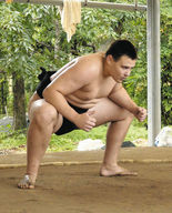 Nicholas, Minato-beya shindeshi