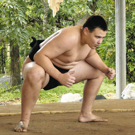Nicholas, Minato-beya shindeshi