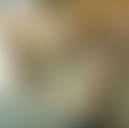 Onosato reçoit un entraînement plus intense !