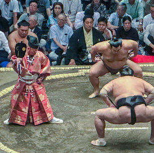 Aki basho : la titularisation du Shikimori Inosuke est officielle !