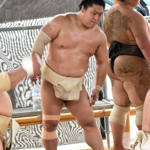 Wakatakakage