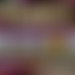 ORICAL, login bonus, 2025-8