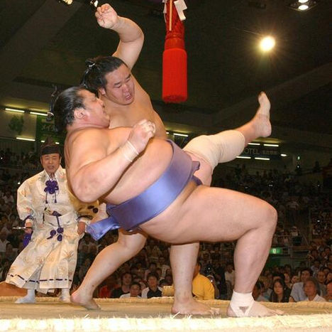 Asashoryu x Kotonowaka 2004-7