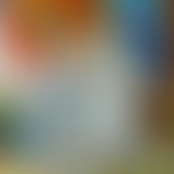 Un ancien san’yaku prend sa retraite