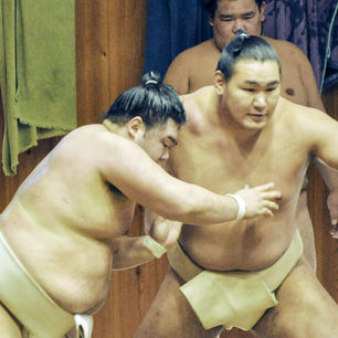 Haru basho : Hoshoryu est de retour à l’entraînement