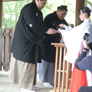 Onosato x Hoshoru=yu 2025-7-5