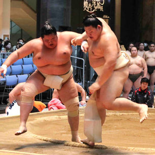 Onosato x Kotozakura 2026-3-1