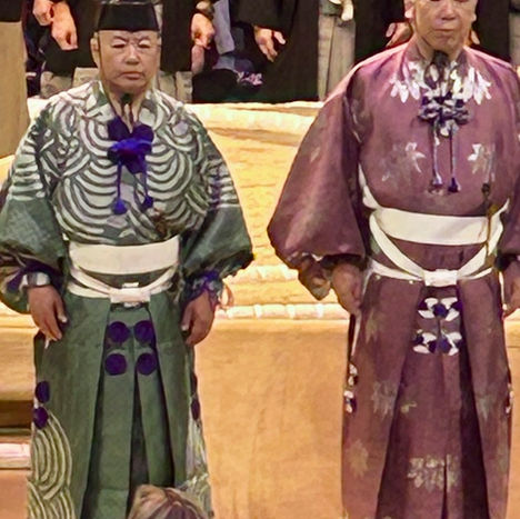 sumo referees