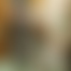 Terunofuji participera-t-il au tournoi ?