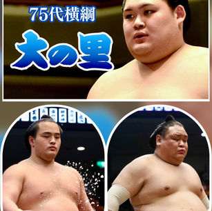 Nagoya basho promotions, 2025-7