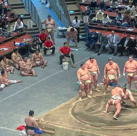 Keiko soken 2025-5-2