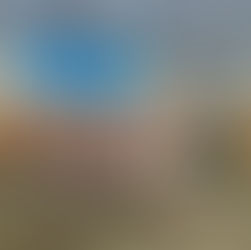 Un entraînement intensif pour Aonishiki