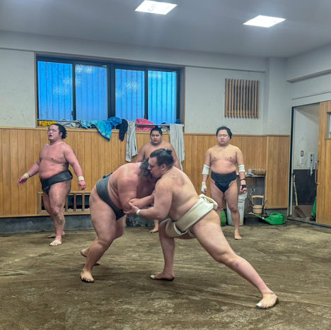 Un entraînement intensif pour Aonishiki