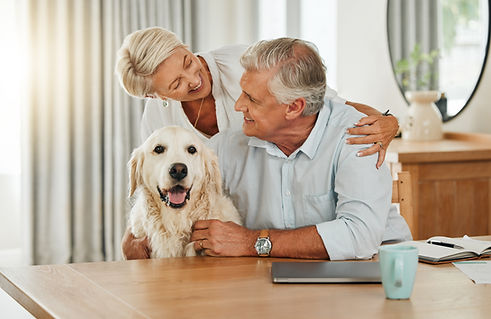 Love, pet and senior couple with dog relax at home bonding, playing and spend quality time